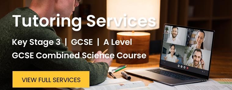 Tutoring Services
